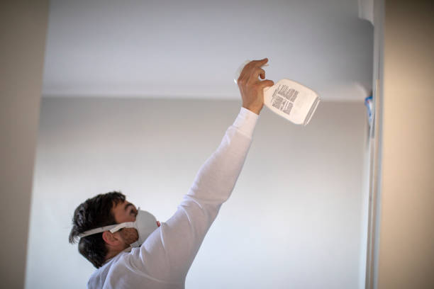 Best Home Mold Removal  in Benton, IL