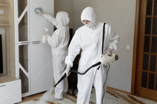 Trusted Benton, IL Mold Removal Experts