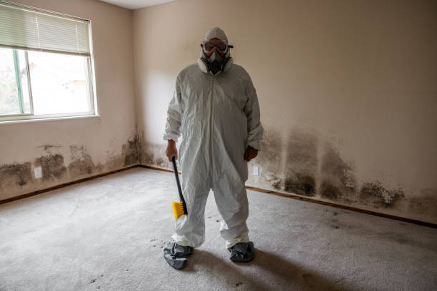 Best Mold Cleaning Services  in Benton, IL