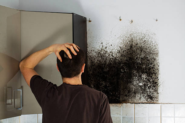 Best Crawl Space Mold Removal  in Benton, IL